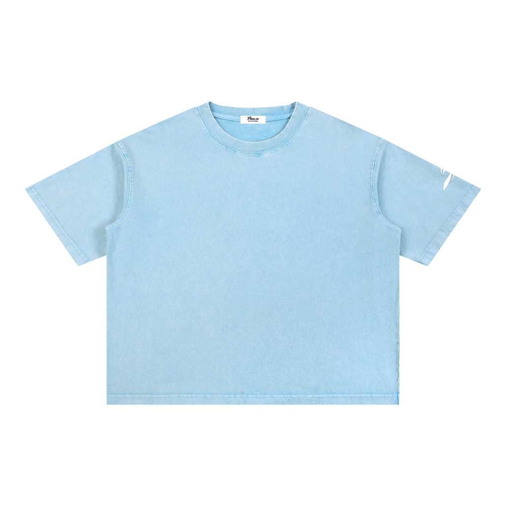FS Mineral Wash Boxy Cotton T-Shirt