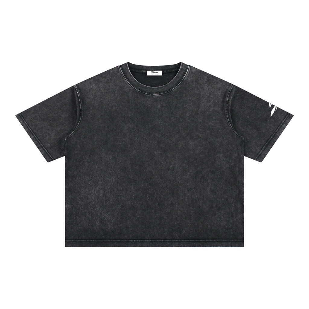 FS Mineral Wash Boxy Cotton T-Shirt