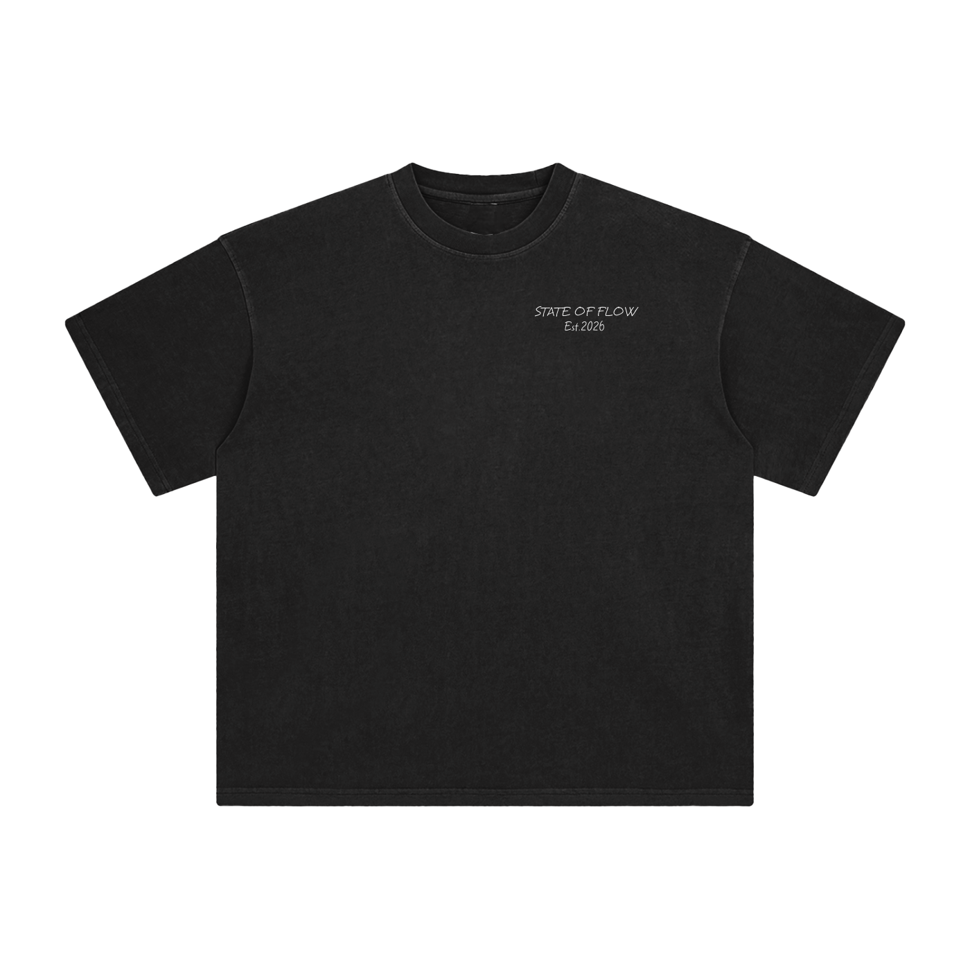 Flow Enzyme Washed T-Shirt