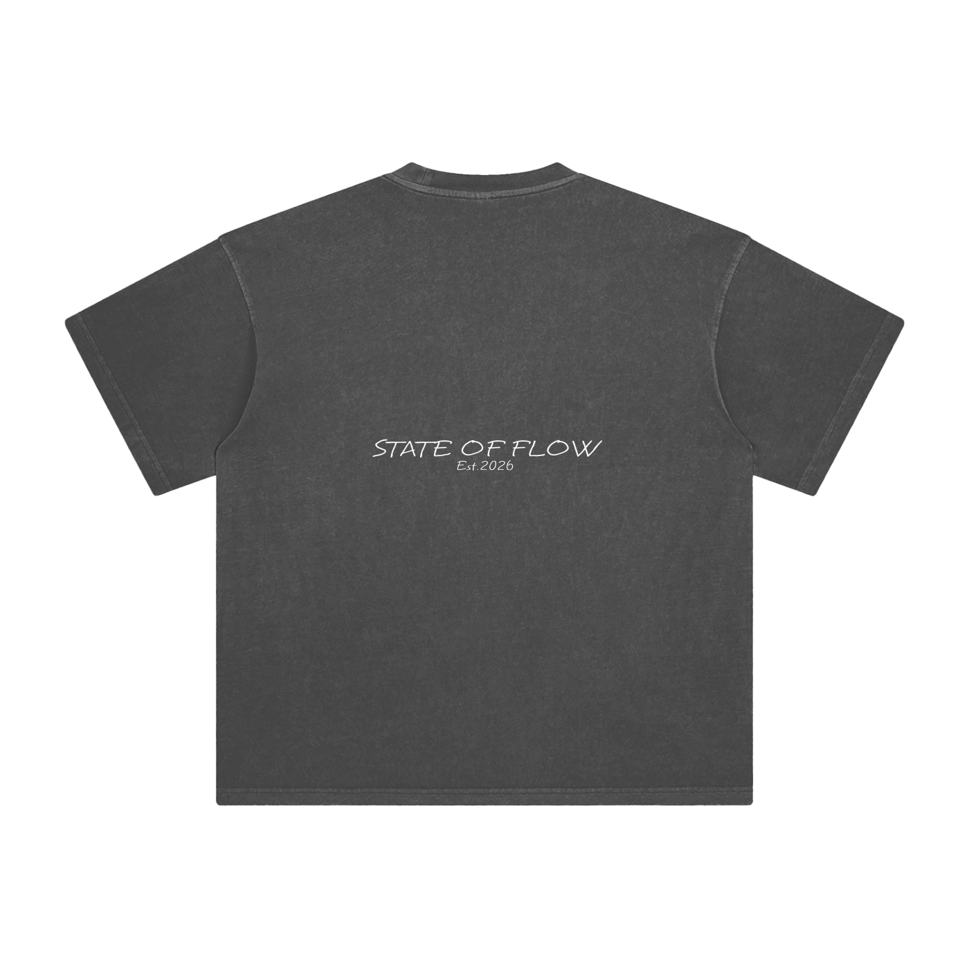 Flow Enzyme Washed T-Shirt