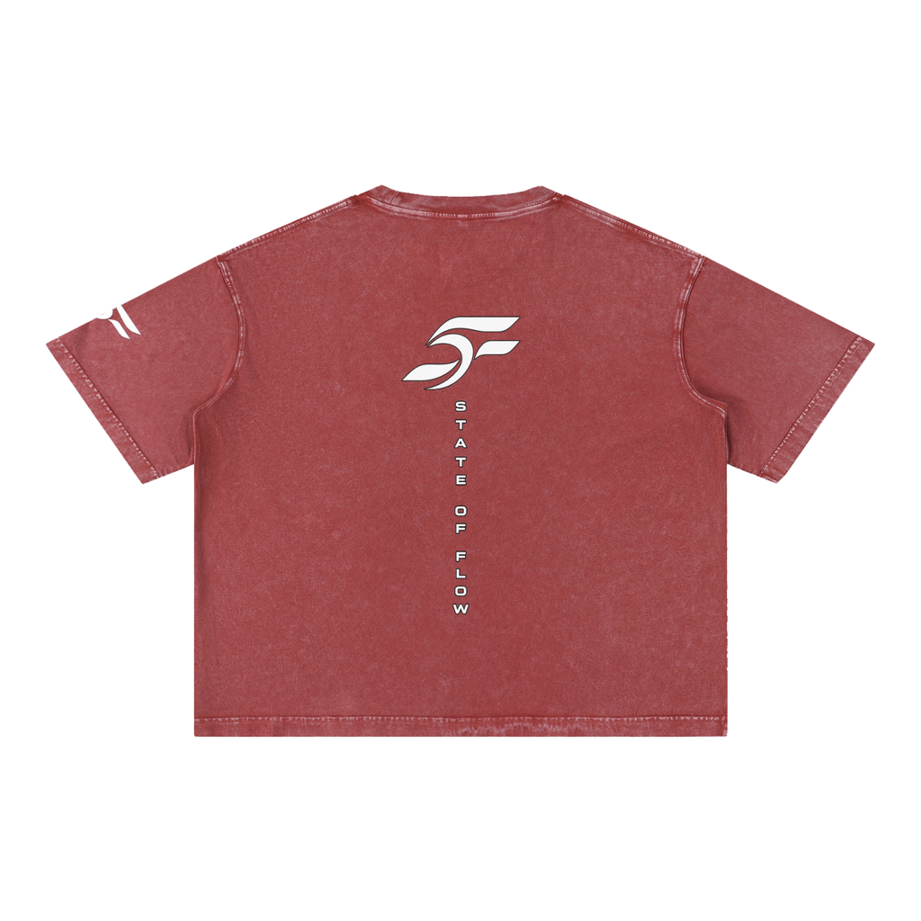 FS Mineral Wash Boxy Cotton T-Shirt
