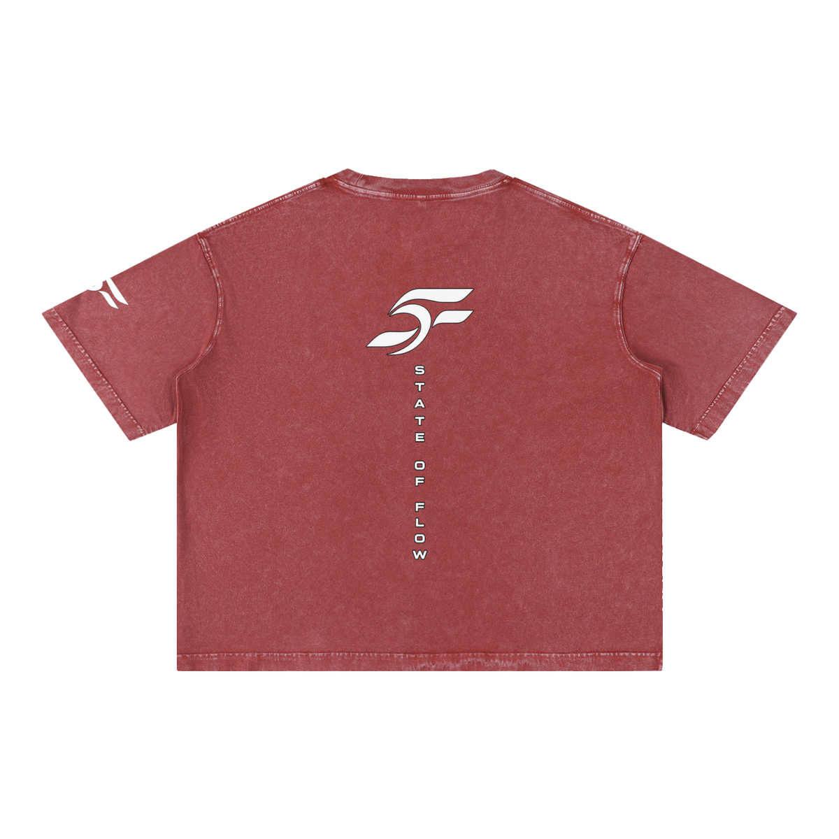 FS Mineral Wash Boxy Cotton T-Shirt