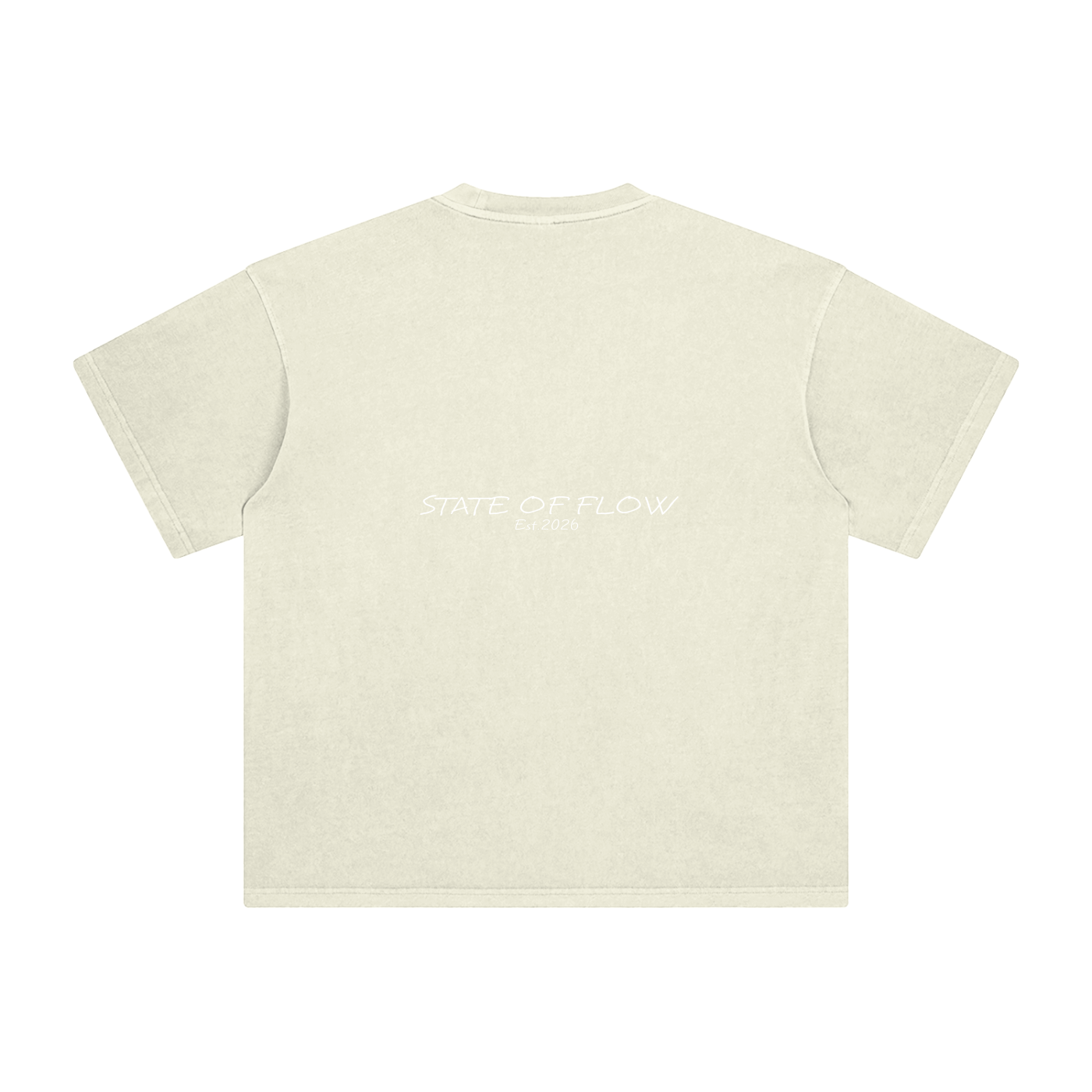 Flow Enzyme Washed T-Shirt